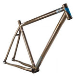 Mountain bike frame